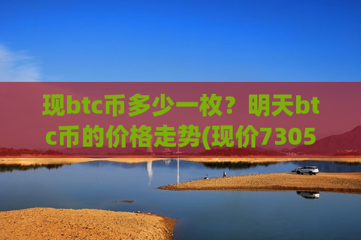 现btc币多少一枚?明天btc币的价格走势(现价730508.35元)-第1张图片-币圈网 现btc币多少一枚?明天btc币的价格走势(现价730508.35元)-第1张图片-币圈网