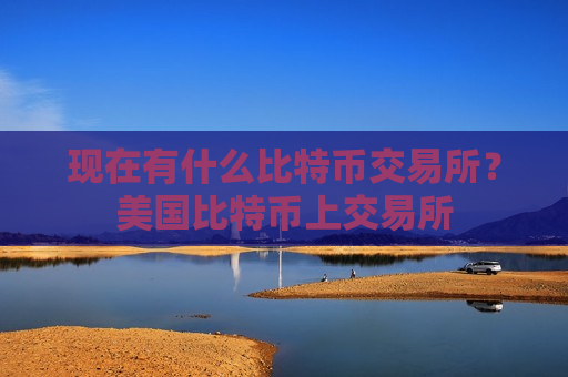 现在有什么比特币交易所？美国比特币上交易所