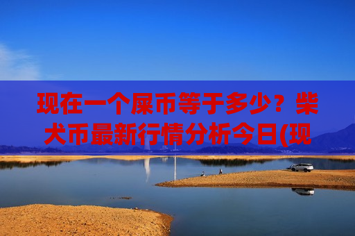 现在一个屎币等于多少？柴犬币最新行情分析今日(现价0.00016194元)