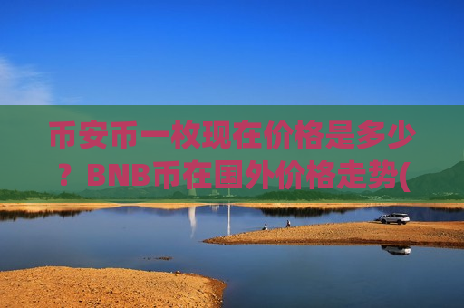 币安币一枚现在价格是多少？BNB币在国外价格走势(现价4879.73元)