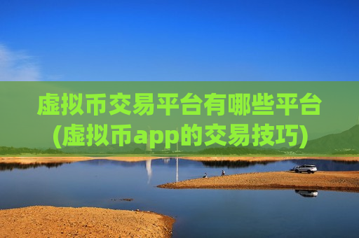 虚拟币交易平台有哪些平台(虚拟币app的交易技巧)