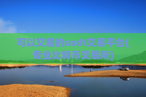 可以交易的usdt交易平台(专业比特币交易所)