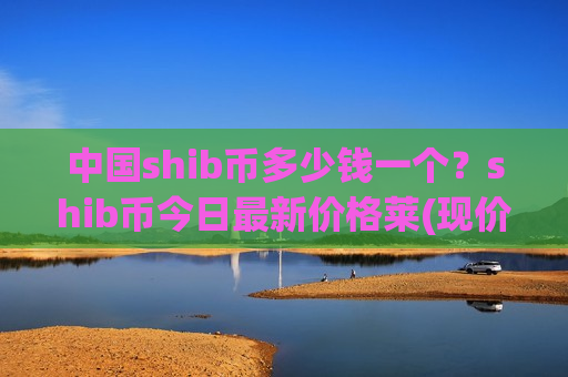 中国shib币多少钱一个？shib币今日最新价格莱(现价0.0001569元)