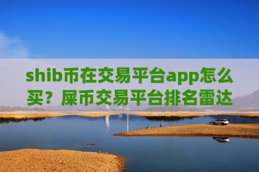 shib币在交易平台app怎么买？屎币交易平台排名雷达币