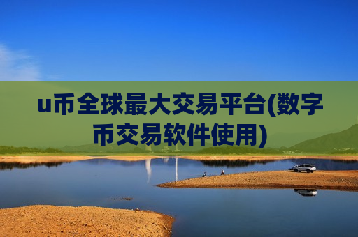u币全球最大交易平台(数字币交易软件使用)