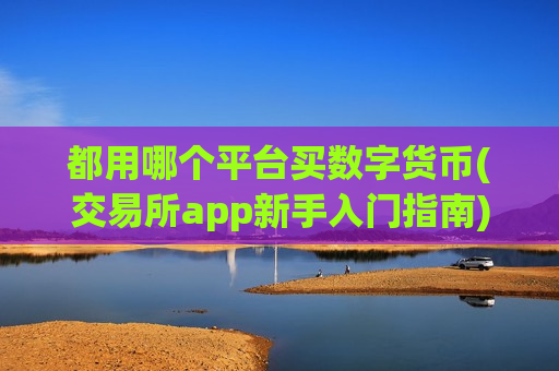 都用哪个平台买数字货币(交易所app新手入门指南)-第1张图片-币圈网 都用哪个平台买数字货币(交易所app新手入门指南)-第1张图片-币圈网
