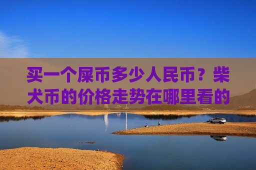 买一个屎币多少人民币？柴犬币的价格走势在哪里看的到(现价0.00015953元)