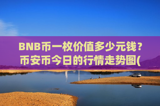 BNB币一枚价值多少元钱？币安币今日的行情走势图(现价4804.82元)