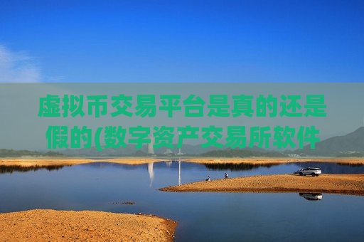 虚拟币交易平台是真的还是假的(数字资产交易所软件优劣评比)