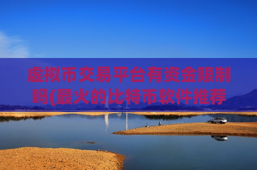 虚拟币交易平台有资金限制吗(最火的比特币软件推荐)