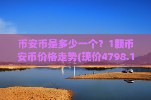 币安币是多少一个？1颗币安币价格走势(现价4798.18元)