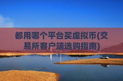 都用哪个平台买虚拟币(交易所客户端选购指南)-第1张图片-币圈网