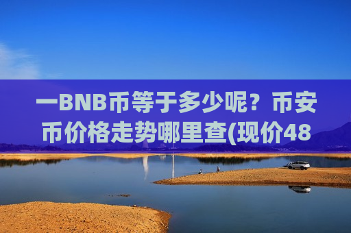 一BNB币等于多少呢？币安币价格走势哪里查(现价4805.11元)