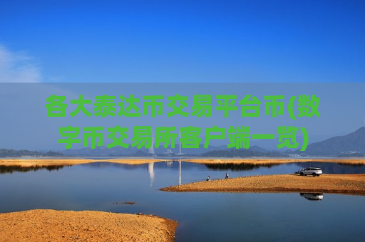 各大泰达币交易平台币(数字币交易所客户端一览)