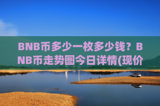 BNB币多少一枚多少钱？BNB币走势图今日详情(现价4804.02元)