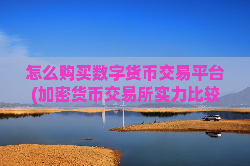 怎么购买数字货币交易平台(加密货币交易所实力比较)