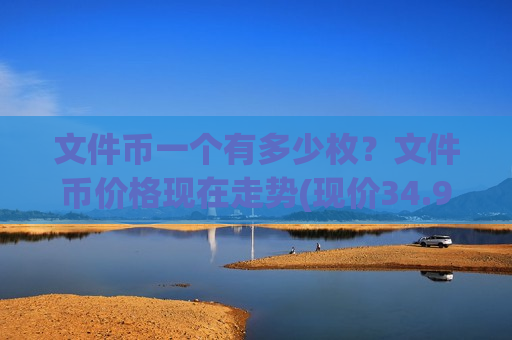 文件币一个有多少枚？文件币价格现在走势(现价34.911元)
