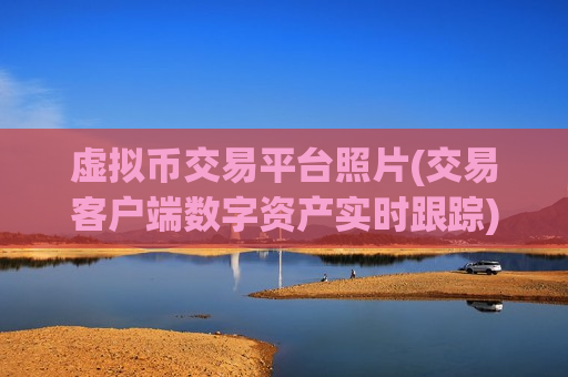 虚拟币交易平台照片(交易客户端数字资产实时跟踪)