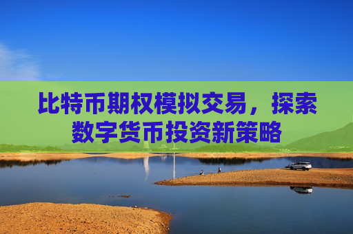 比特币期权模拟交易，探索数字货币投资新策略-第1张图片-币圈网