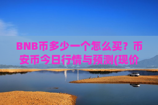 BNB币多少一个怎么买？币安币今日行情与预测(现价4759.74元)