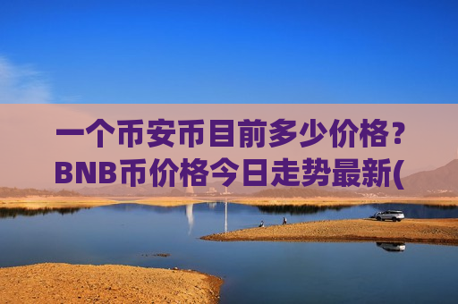 一个币安币目前多少价格？BNB币价格今日走势最新(现价4763.9元)