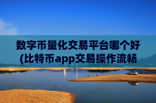数字币量化交易平台哪个好(比特币app交易操作流畅)