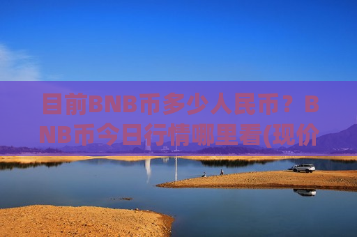 目前BNB币多少人民币？BNB币今日行情哪里看(现价4832.2元)