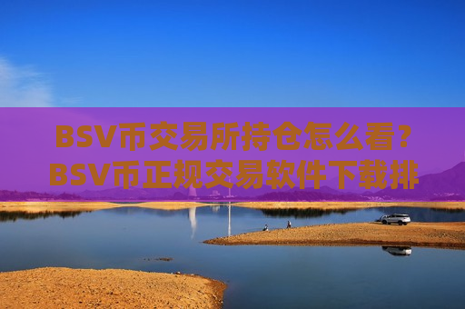 BSV币交易所持仓怎么看？BSV币正规交易软件下载排名榜