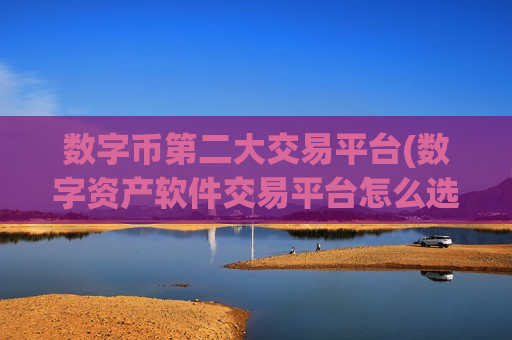 数字币第二大交易平台(数字资产软件交易平台怎么选择)