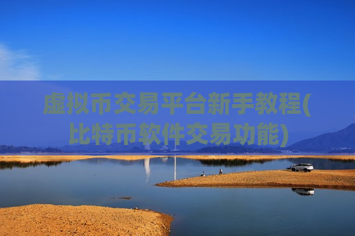虚拟币交易平台新手教程(比特币软件交易功能)