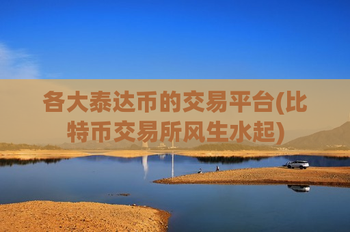 各大泰达币的交易平台(比特币交易所风生水起)
