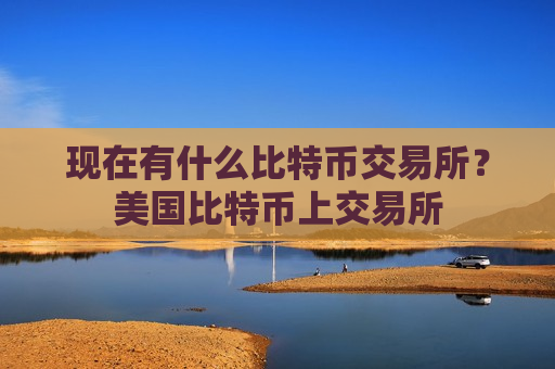 现在有什么比特币交易所？美国比特币上交易所