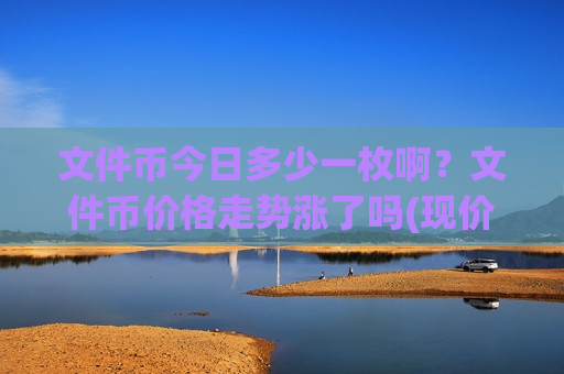 文件币今日多少一枚啊？文件币价格走势涨了吗(现价36.8221元)