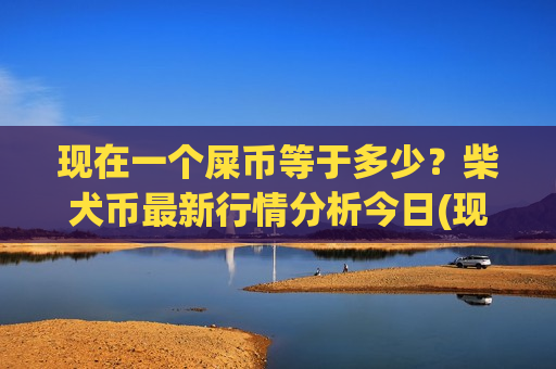现在一个屎币等于多少？柴犬币最新行情分析今日(现价0.00016194元)