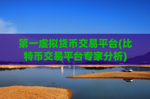 第一虚拟货币交易平台(比特币交易平台专家分析)-第1张图片-币圈网 第一虚拟货币交易平台(比特币交易平台专家分析)-第1张图片-币圈网