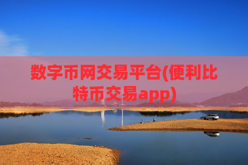 数字币网交易平台(便利比特币交易app)