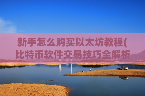 新手怎么购买以太坊教程(比特币软件交易技巧全解析)