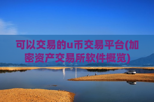 可以交易的u币交易平台(加密资产交易所软件概览)