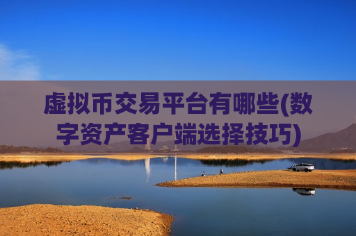 虚拟币交易平台有哪些(数字资产客户端选择技巧)