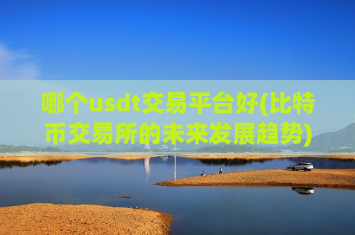 哪个usdt交易平台好(比特币交易所的未来发展趋势)