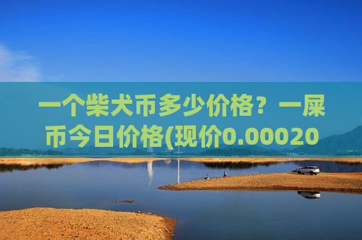 一个柴犬币多少价格?一屎币今日价格(现价0.0002091元)-第1张图片-币圈网 一个柴犬币多少价格?一屎币今日价格(现价0.0002091元)-第1张图片-币圈网