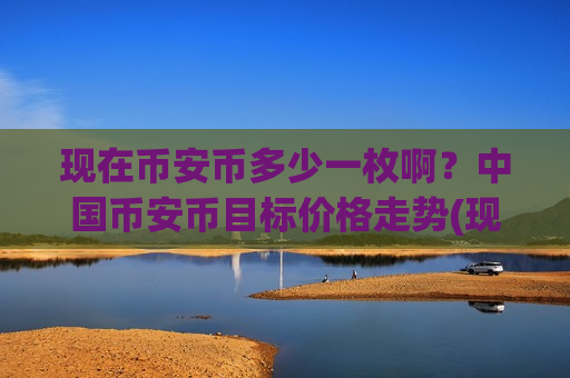 现在币安币多少一枚啊？中国币安币目标价格走势(现价4823.28元)