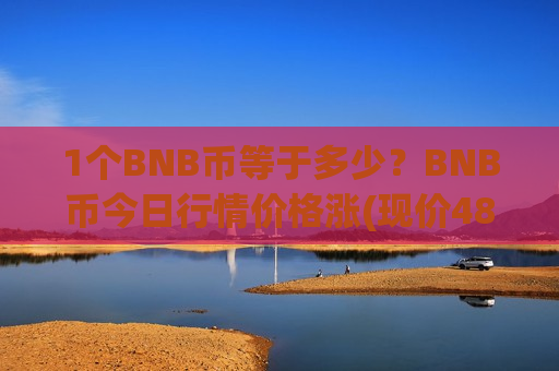1个BNB币等于多少？BNB币今日行情价格涨(现价4837.57元)