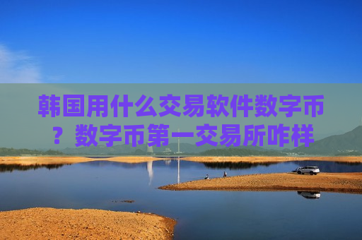 韩国用什么交易软件数字币？数字币第一交易所咋样