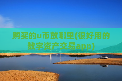 购买的u币放哪里(很好用的数字资产交易app)-第1张图片-币圈网