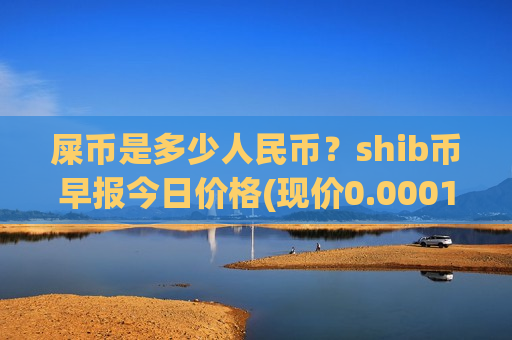 屎币是多少人民币？shib币早报今日价格(现价0.0001569元)