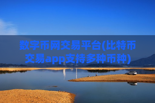 数字币网交易平台(比特币交易app支持多种币种)