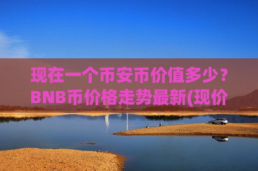 现在一个币安币价值多少？BNB币价格走势最新(现价4823.28元)