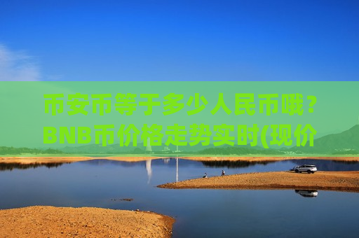 币安币等于多少人民币哦？BNB币价格走势实时(现价4821.67元)