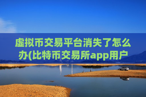 虚拟币交易平台消失了怎么办(比特币交易所app用户体验分析)-第1张图片-币圈网